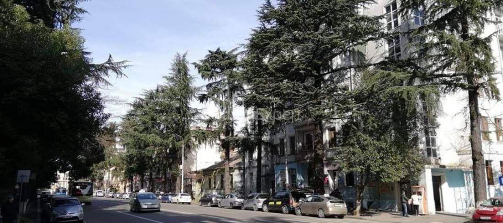 Բնակարան 61 մ² - Նիկոլոզ Բարաթաշվիլի, Batumi, Վրաստан