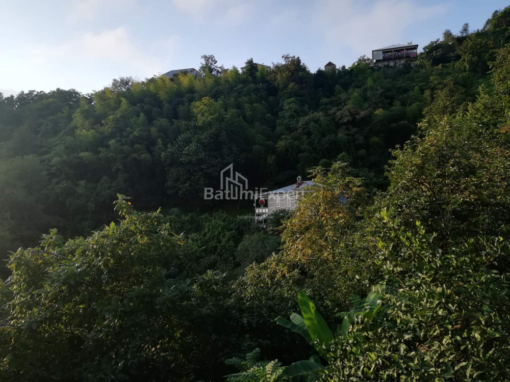 Առանձնատուն 2501 մ² - Ակակի Շաինիձե, Khelvachauri, Վրաստан