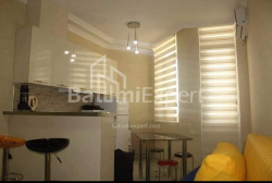 Բնակարան 1-комн 29 m² - Զուրաբա Գորգիլաձե, Batumi