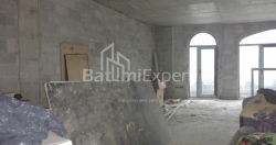Բնակարան 1-комн 201 m² - Զուրաբա Գորգիլաձե, Batumi