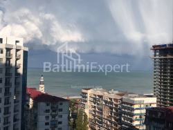 Բնակարան 3-комн 53 m² - Նիկո Փիրոսմանի, Batumi