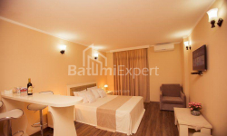 Բնակարան 1-комн 31 m² - Շերիֆ Խիմշիաշվիլի, Batumi