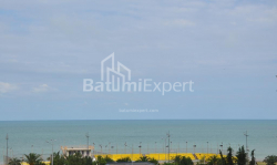 Բնակարան 3-комн 87 m² - Զուրաբա Գորգիլաձե, Batumi