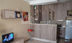 Բնակարան 3-комн 64 m² - Շալվա Ինասարիձե, Batumi