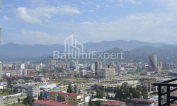 Բնակարան 31 մ² - Նիկո Փիրոսմանի, Batumi, Վրաստан
