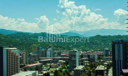 Բնակարան 62 մ² - Վախթանգ Գորգասալի, Batumi, Վրաստан