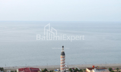 Բնակարան 2-комн 40 m² - Նիկո Փիրոսմանի, Batumi