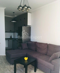 Բնակարան 48 մ² - Ալեքսանդրա Պուշկին, Batumi, Վրաստан