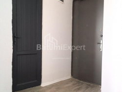 Բնակարան 48 մ² - Ալեքսանդրա Պուշկին, Batumi, Վրաստан
