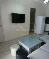 Բնակարան 3-комн 47 m² - Թբել-Աբուսերիձե, Batumi