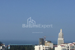 Բնակարան 2-комн 42 m² - Իլյա Ճավճավաձե, Batumi