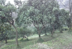 Բնակարան 240 մ² - Յուրիևսկայա, Batumi, Վրաստан