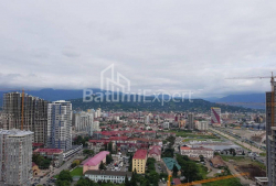 Բնակարան 2-комн 45 m² - Զուրաբա Գորգիլաձե, Batumi