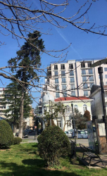 Բնակարան 1-комн 45 m² - Դավիթ Կլդիաշվիլի, Batumi