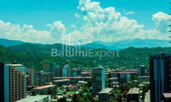 Բնակարան 62 մ² - Վախթանգ Գորգասալի, Batumi, Վրաստан