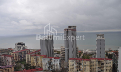 Բնակարան 2-комн 43 m² - Նիկո Փիրոսմանի, Batumi