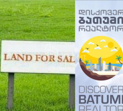 Բնակարան 100 m² - Զուրաբա Գորգիլաձե, Batumi