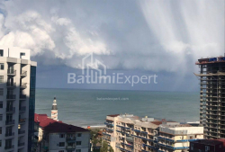 Բնակարան 3-комн 53 m² - Նիկո Փիրոսմանի, Batumi