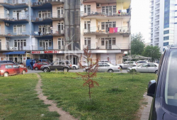 Բնակարան 1-комн 286 m² - Շերիֆ Խիմշիաշվիլի, Batumi