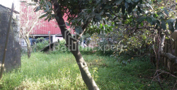 Բնակարան 250 մ² - Յուրիևսկայա, Batumi, Վրաստан
