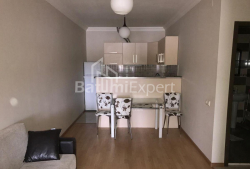 Բնակարան 45 մ² - Իվանե Ջավախիշվիլի, Batumi, Վրաստан