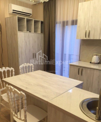 Բնակարան 2-комн 50 m² - Վախթանգ Գորգասալի, Batumi