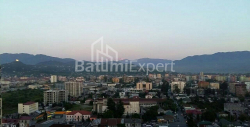 Բնակարան 2-комн 42 m² - Նիկո Փիրոսմանի, Batumi