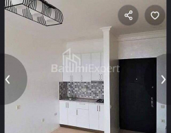 Բնակարան 2-комн 45 m² - Իլյա Ճավճավաձե, Batumi