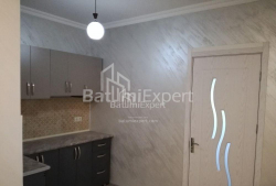 Բնակարան 1-комн 48 m² - Պետրա Մելիքիշվիլի, Batumi