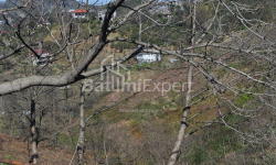 Բնակարան 2-комн 170 m² - Յուրիևսկայա, Batumi