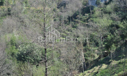 Բնակարան 170 մ² - Յուրիևսկայա, Batumi, Վրաստан