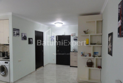 Բնակարան 1-комн 50 m² - Նիկո Փիրոսմանի, Batumi
