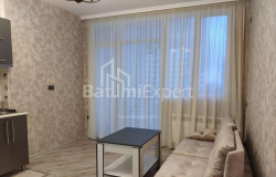 Բնակարան 2-комн 40 m² - Նիկո Փիրոսմանի, Batumi