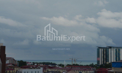 Բնակարան 3-комн 56 m² - Վախթանգ Գորգասալի, Batumi