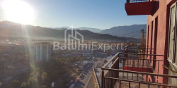 Բնակարան 1-комн 28 m² - Պետրա Բագրատիոնի, Batumi