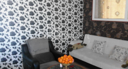 Բնակարան 3-комн 65 m² - Նիկո Փիրոսմանի, Batumi