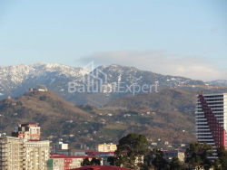 Բնակարան 1-комн 33 m² - Նիկո Փիրոսմանի, Batumi