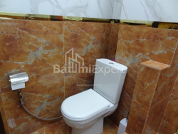 Բնակարան 1-комн 33 m² - Նիկո Փիրոսմանի, Batumi