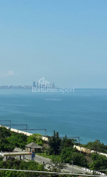 Առանձնատուն 1830 մ² - Աղմաշենեբելի, Chakvi, Վրաստан