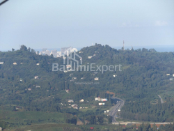 Առանձնատուն 6-комн 5000 m² - Մեզգվարտա, Chakvi