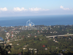 Առանձնատուն 5000 մ² - Մեզգվարտա, Chakvi, Վրաստан