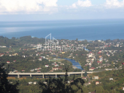 Առանձնատուն 5000 մ² - Մեզգվարտա, Chakvi, Վրաստан