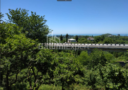 Հողամաս 536 m² - Աղմաշենեբելի, Chakvi