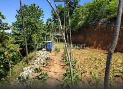 Հողամաս 536 m² - Աղմաշենեբելի, Chakvi