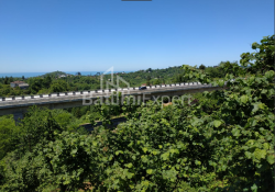Հողամաս 536 m² - Աղմաշենեբելի, Chakvi