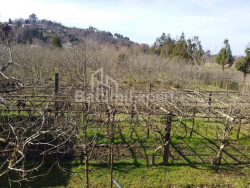 Հողամաս 4260 մ² - Դավիթ Աղմաշենեբելի, Kobuleti, Վրաստан