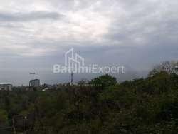 Հողամաս 1000 m² - Ախալգազրդոբա, Makhinjauri