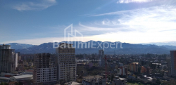 Բնակարան 1-комн 31.3 m² - Շալվա Ինասարիձե, Batumi