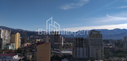 Բնակարան 1-комн 31.3 m² - Շալվա Ինասարիձե, Batumi