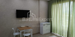 Բնակարան 33 մ² - Շալվա Ինասարիձե, Batumi, Վրաստан